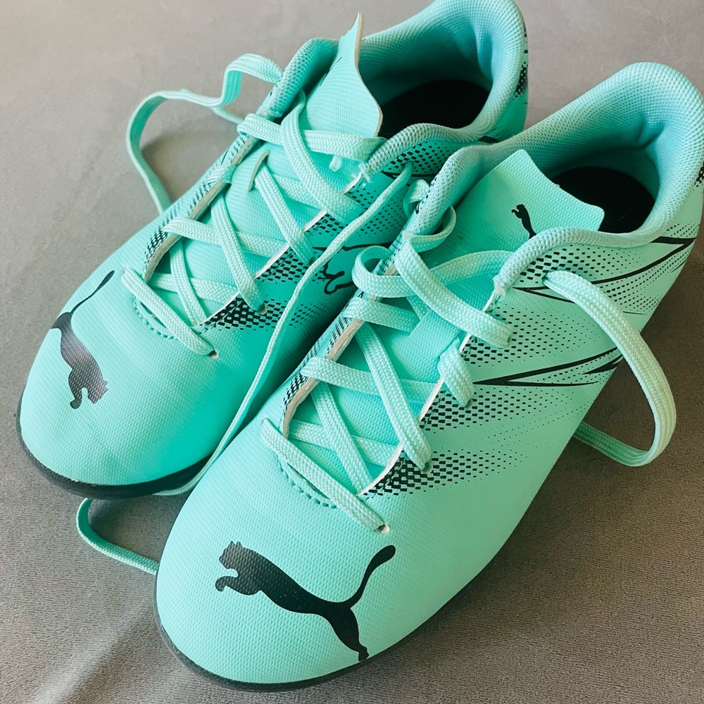 Puma Aqua and Black Sneakers